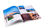 Revistas